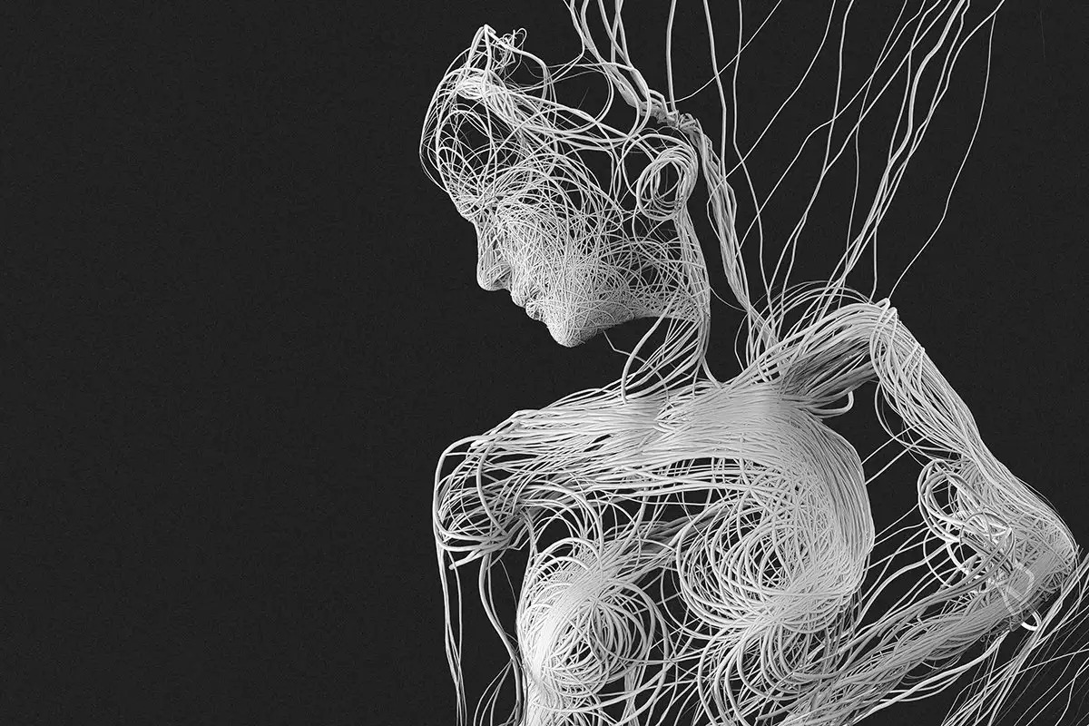 La Fascia Connessioni e Matrice